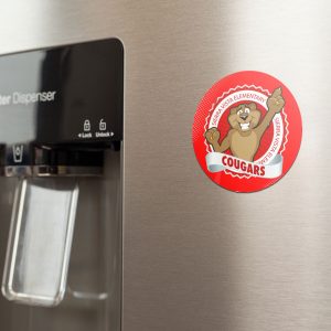 SMALL-MAGNETS