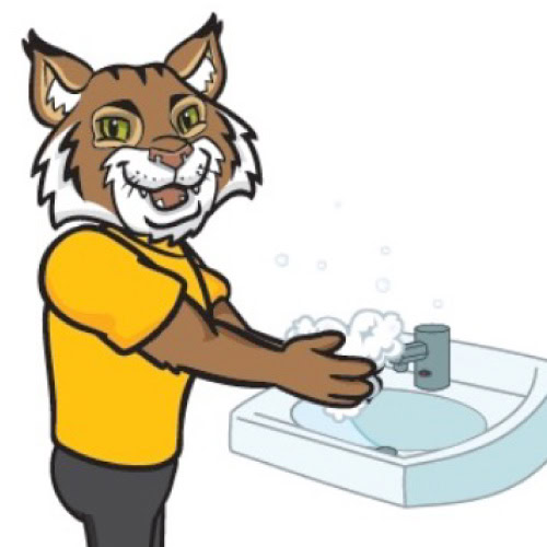 Use illustrations of mascot by Mascot Junction.