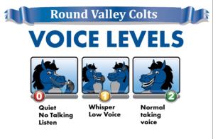 Voice Level Poster Bronco Colt Mustang