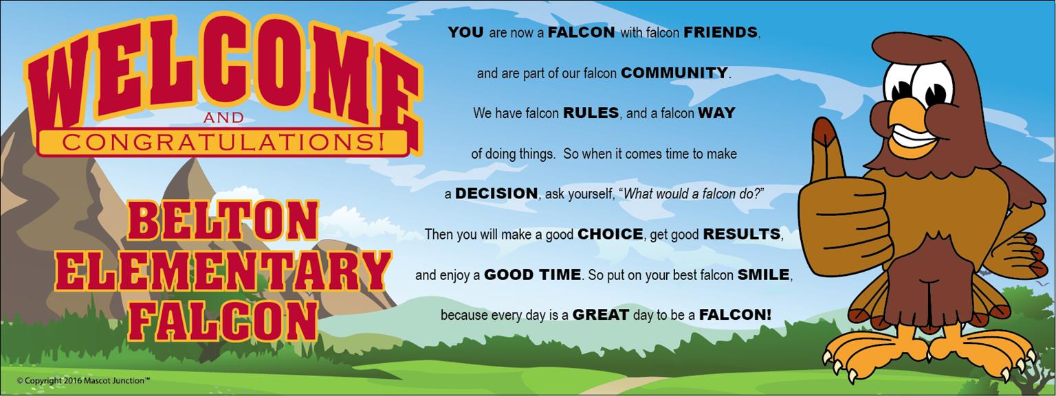 PBIS Banner Falcon