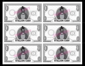 Stallion Cash Rewards