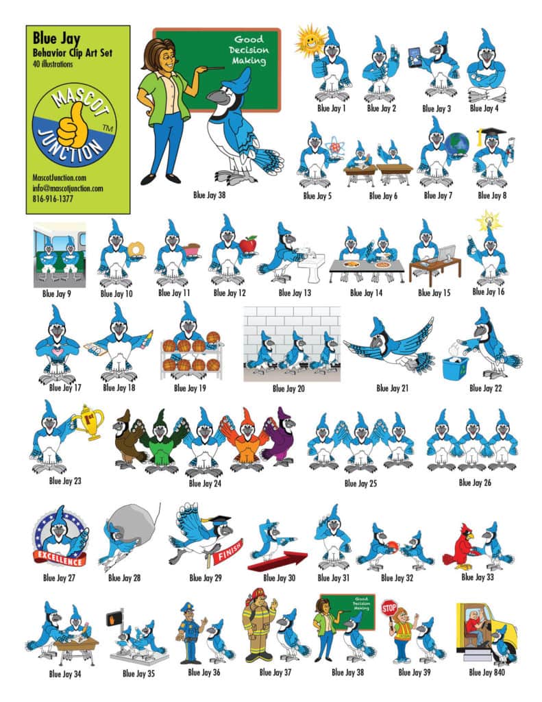 Blue Jay Behavior Clip Art