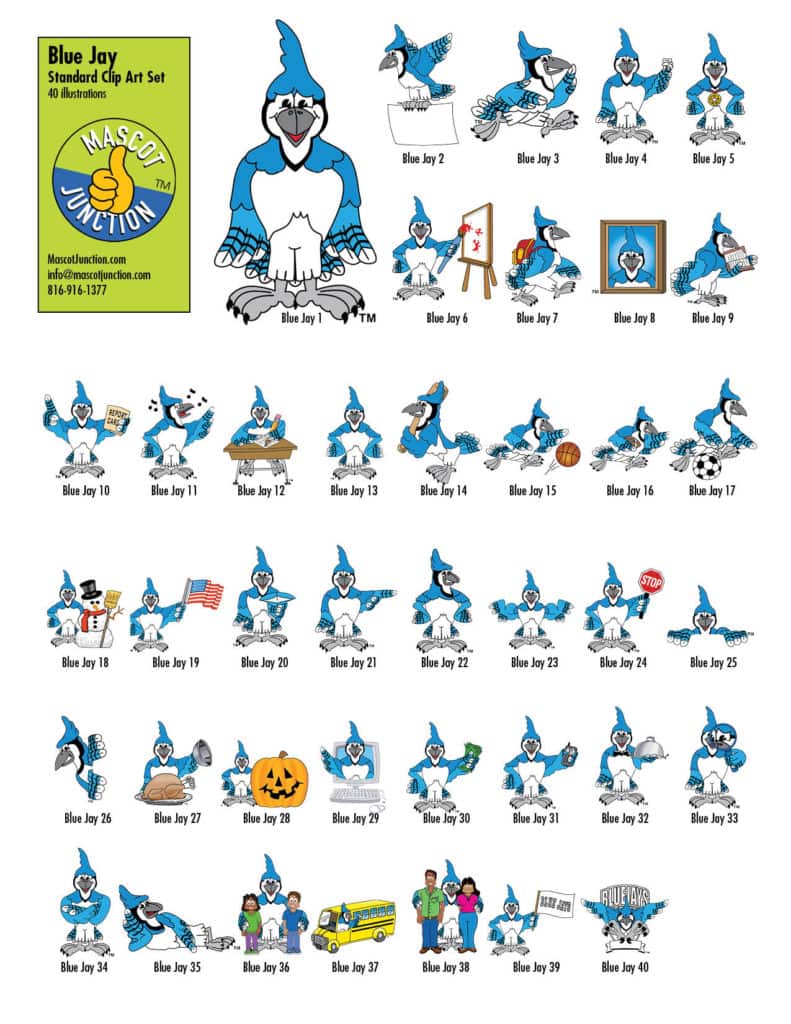 Blue Jay Standard Clip Art