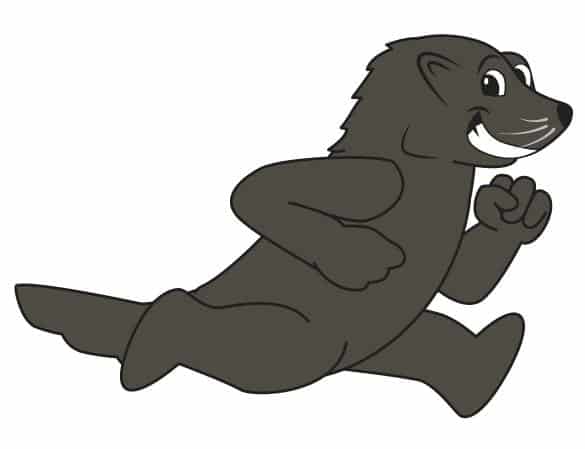 Bearcat mascot clip art illustration