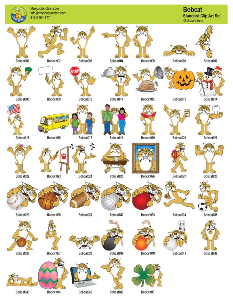 Bobcat mascot illustrations clip art