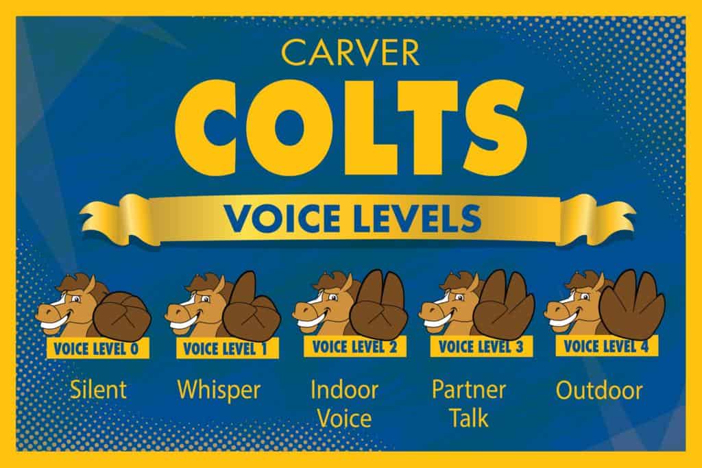 Voice Levels Colt-01