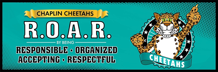 ROARBannerCheetah2