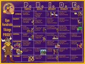PBIS Matrix Banner Viking