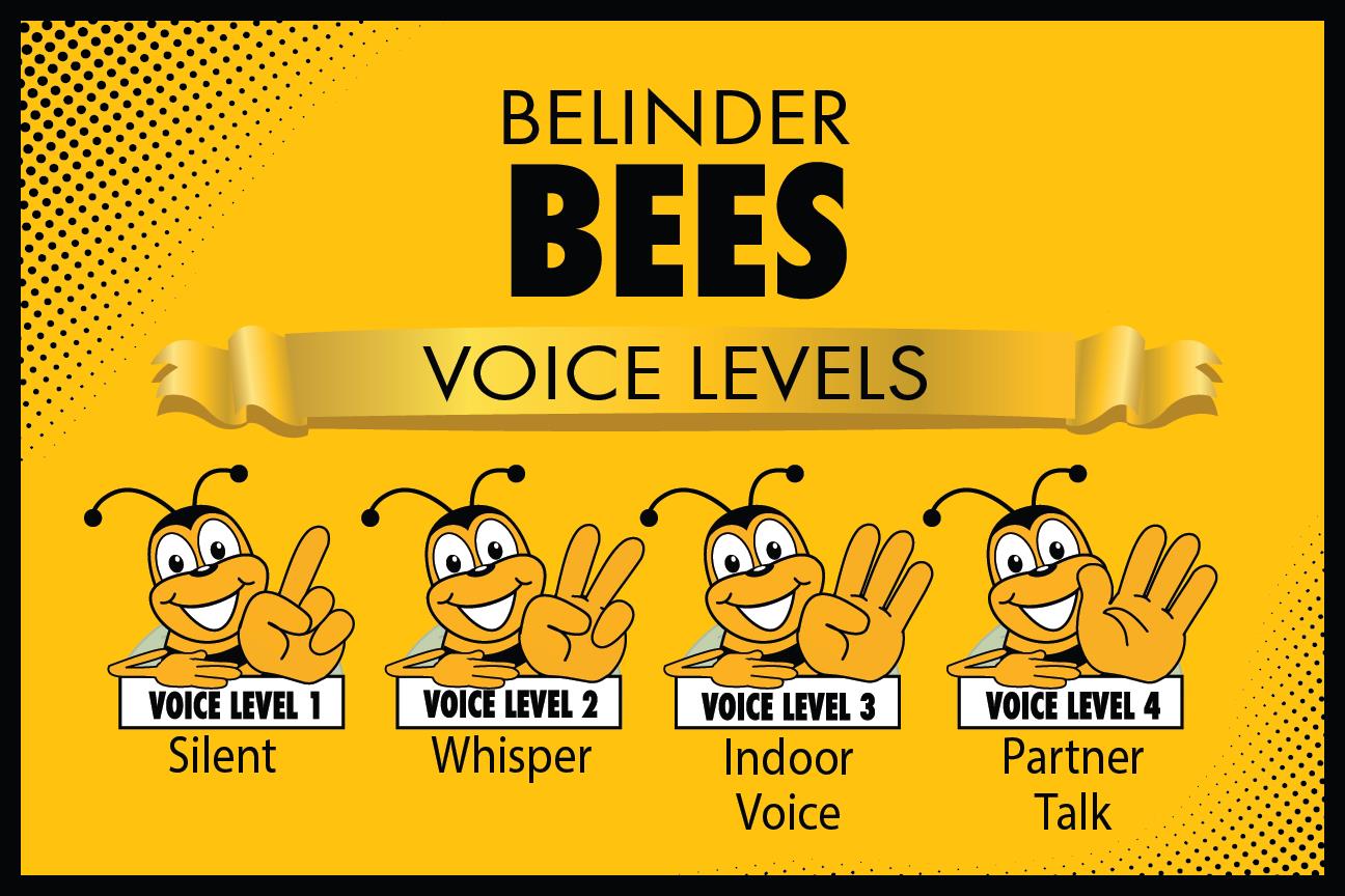 Voice Levels_Poster -01