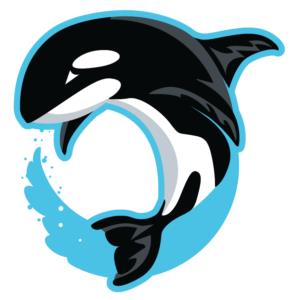 Orca Logo Design 2 - Mascot Junction