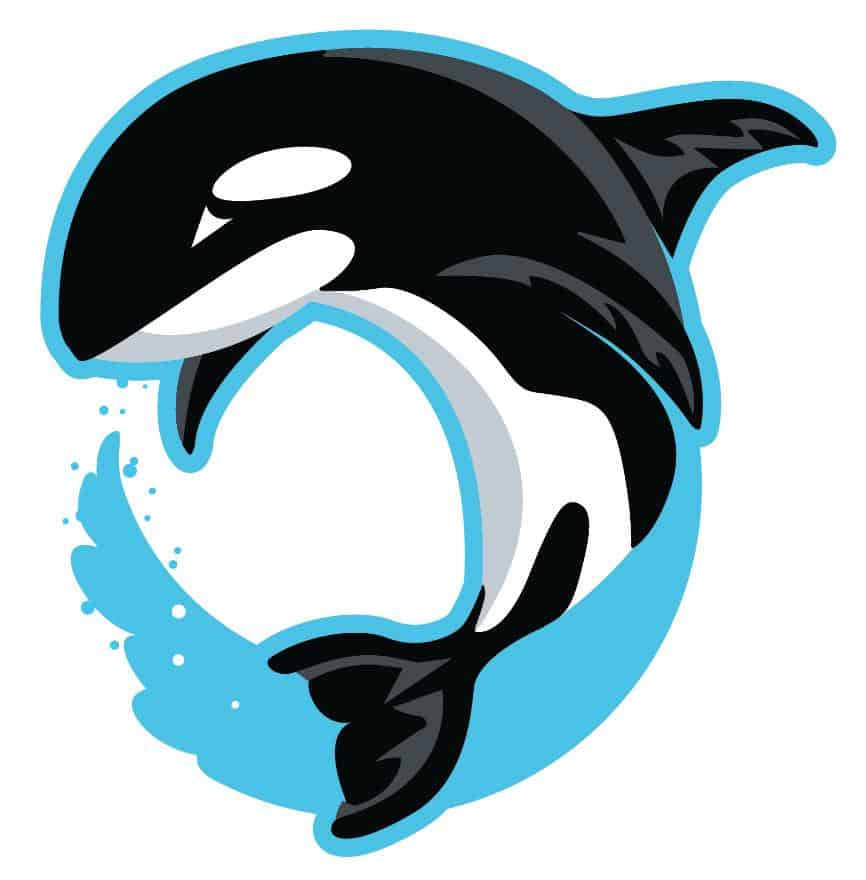 Orca-Logo-Design-2.jpg