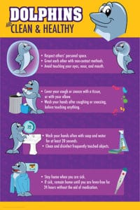 Dolphin-Clean and Healthy
