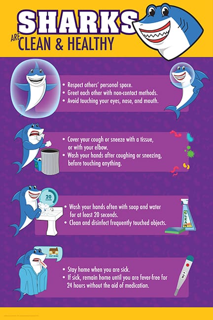 Shark-Clean and Healthy