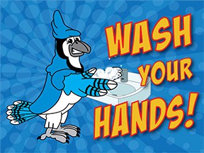 Wash Hands Bluejay