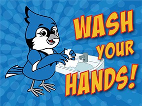 Wash Hands Bluejay2 copy
