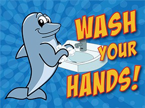 Wash Hands Dolphin