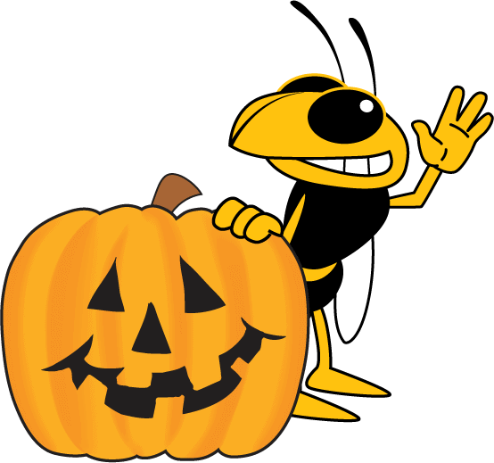 Yellow Jacket