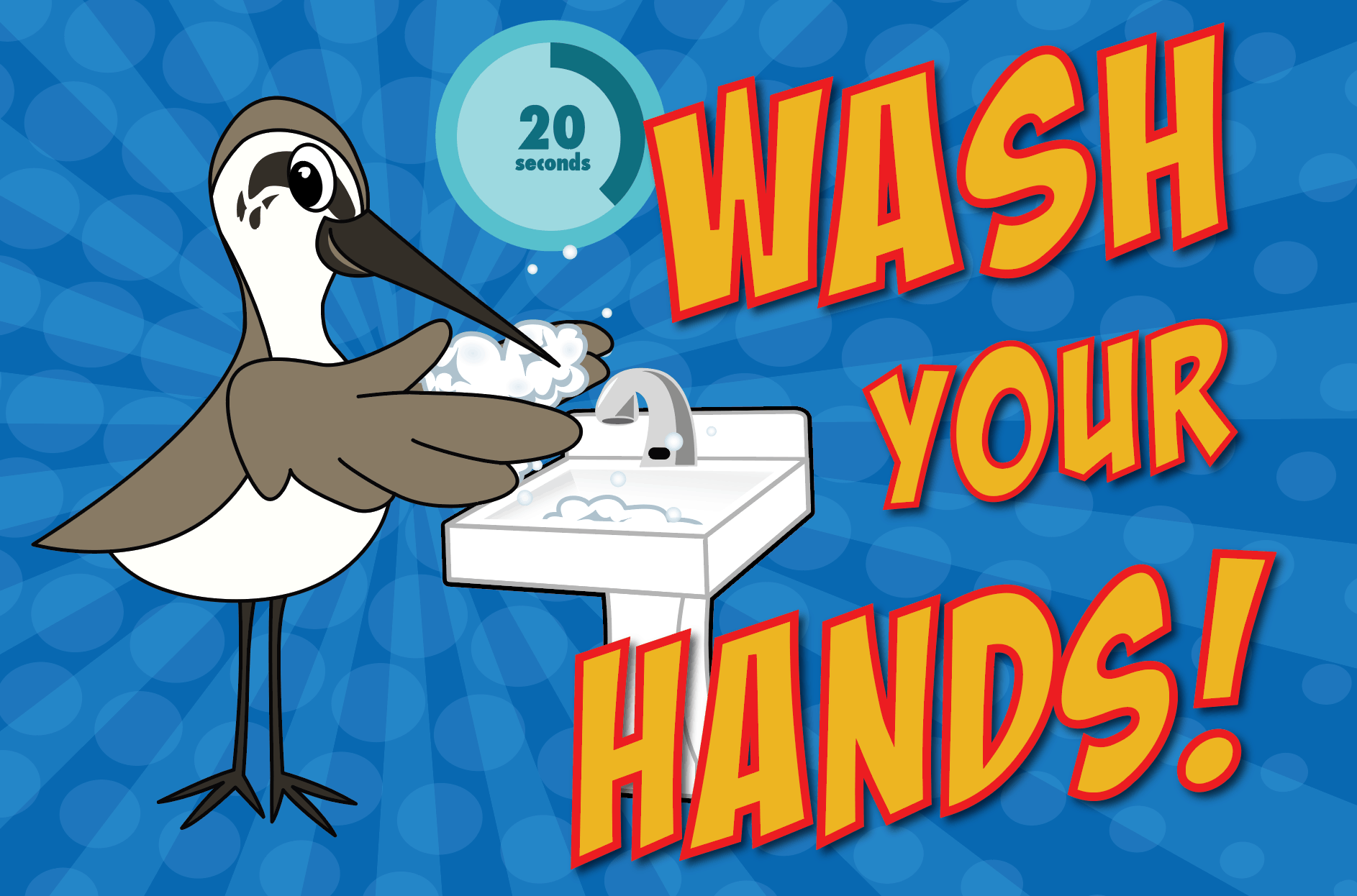 Sandpiper Washing Hands