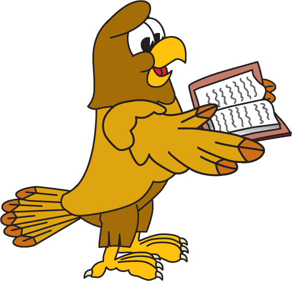 S_18-2 Hawk 1