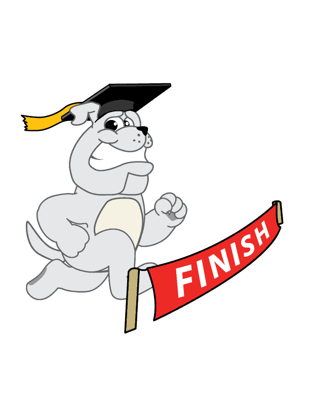 B8 Bulldog