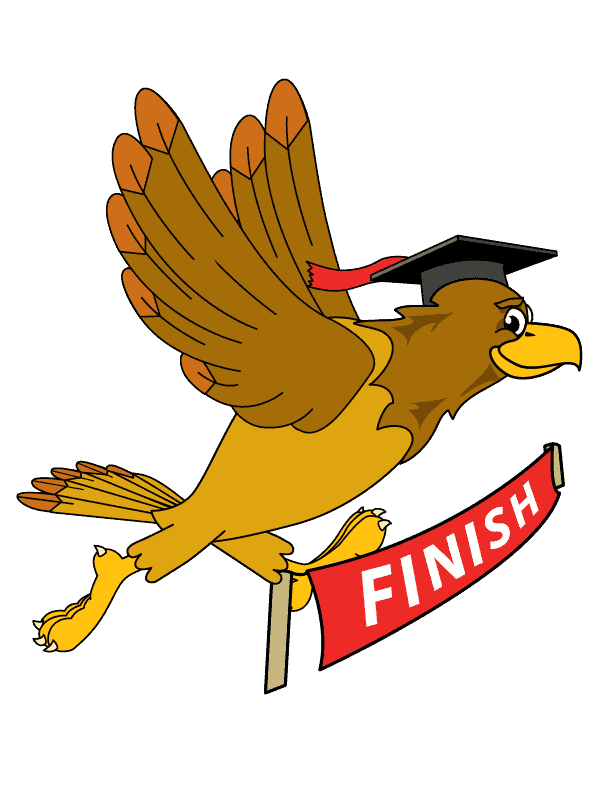 B8 Hawk 3