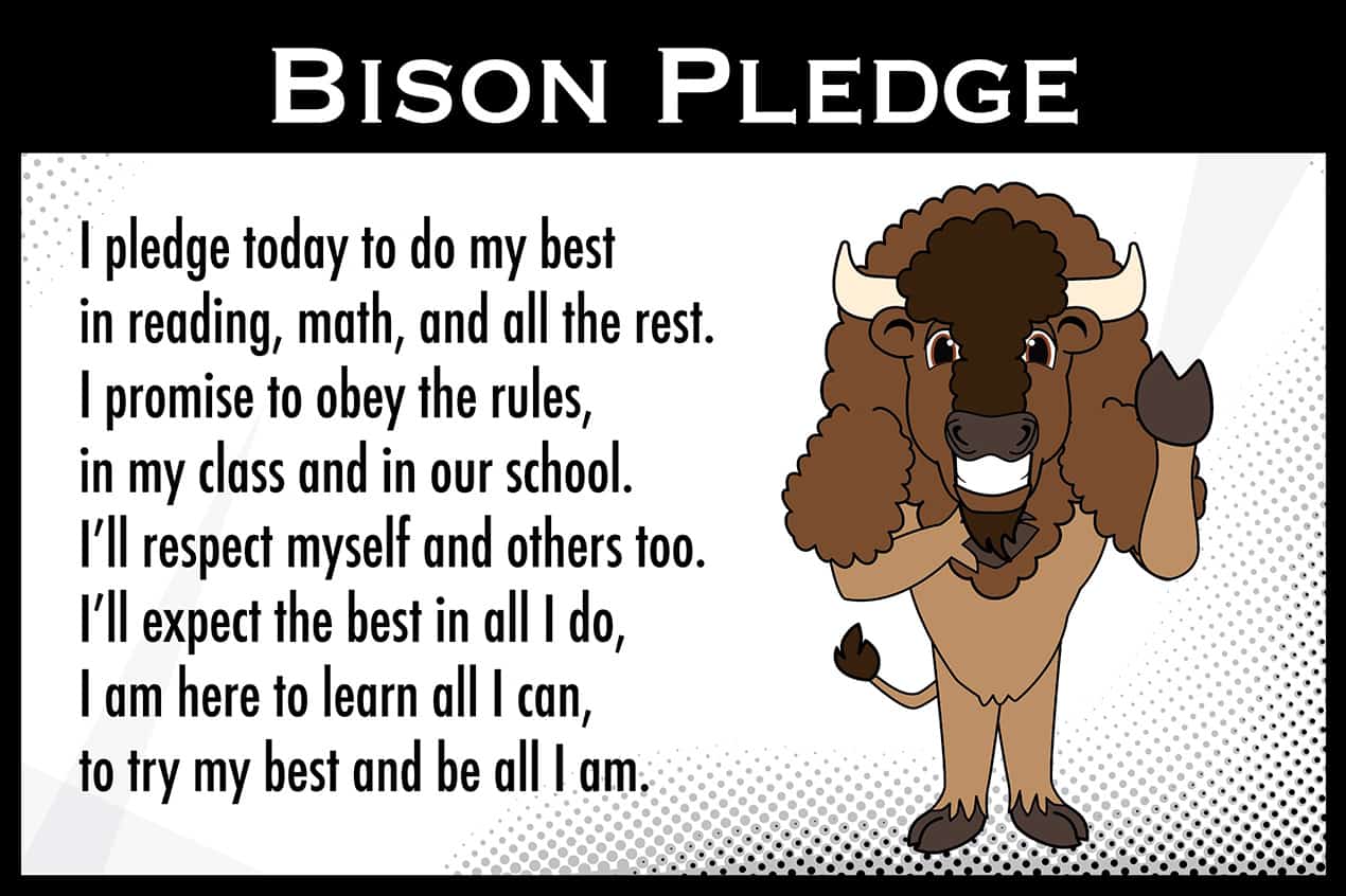 pledge-bison