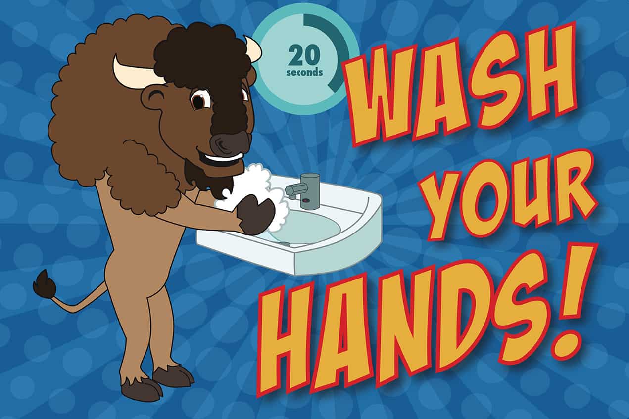 wash-hands-bison-poster