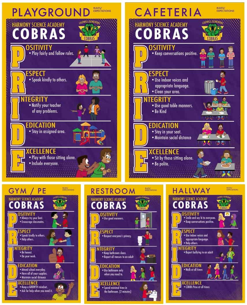 Rules-posters-cobra