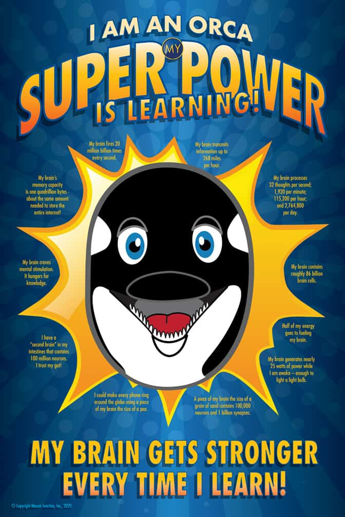 Super Power Poster Orca-Killer Whale