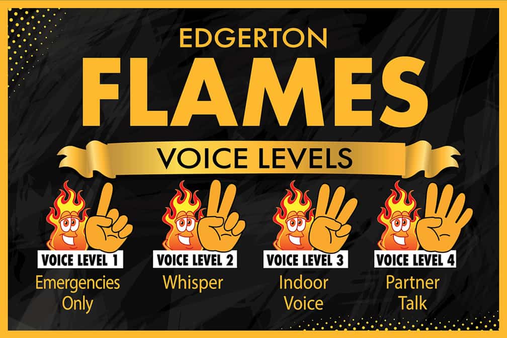 Voice Levels Flames