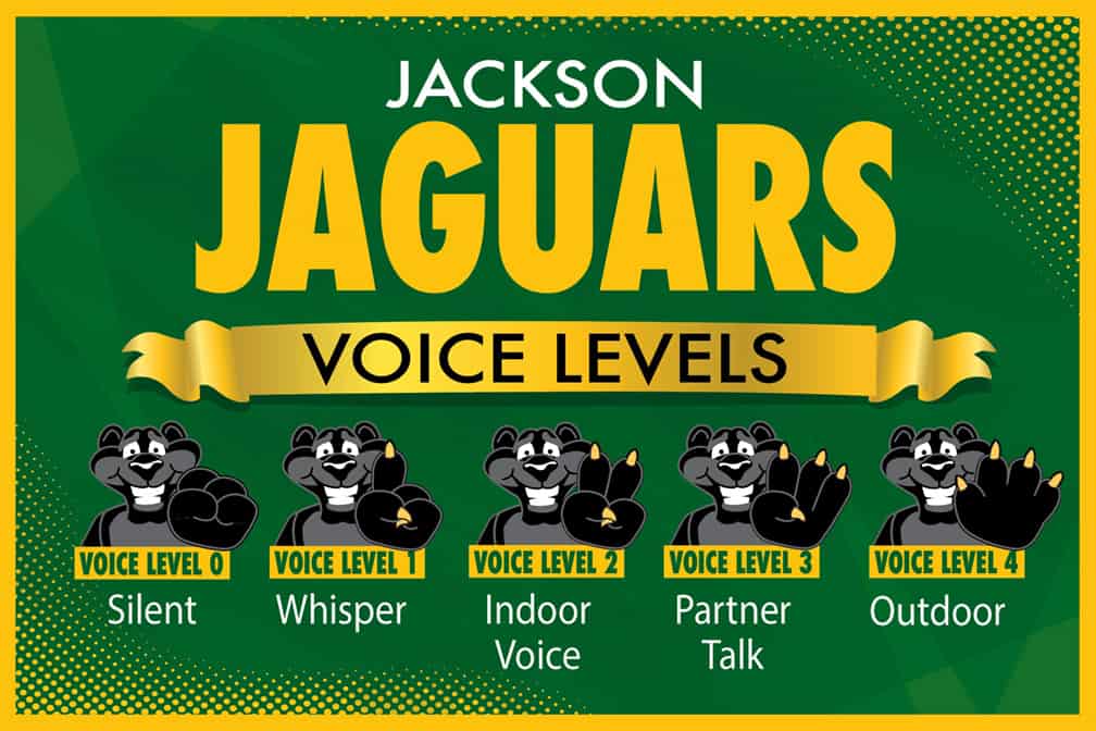 Voice Level Jaguar Black