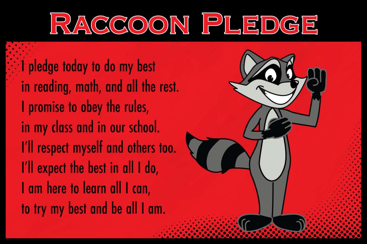 Pledge-style2-raccoon
