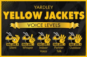 Voice Level Yellow Jacket