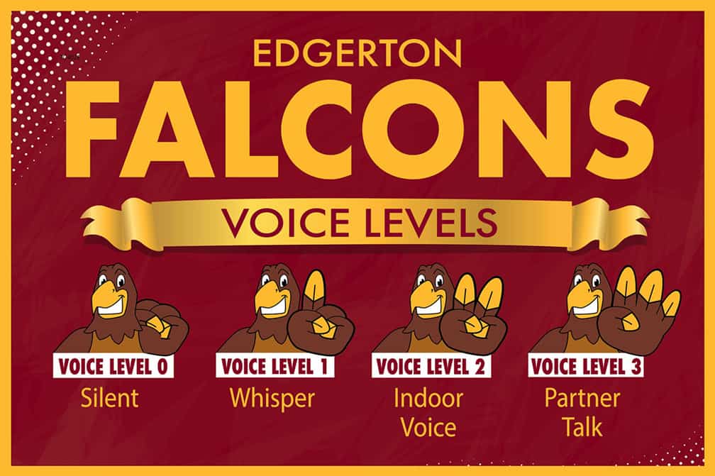 Voice Level Falcon 2