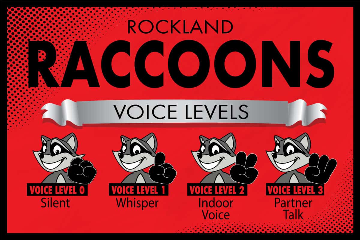 Voice-Level-Raccoon