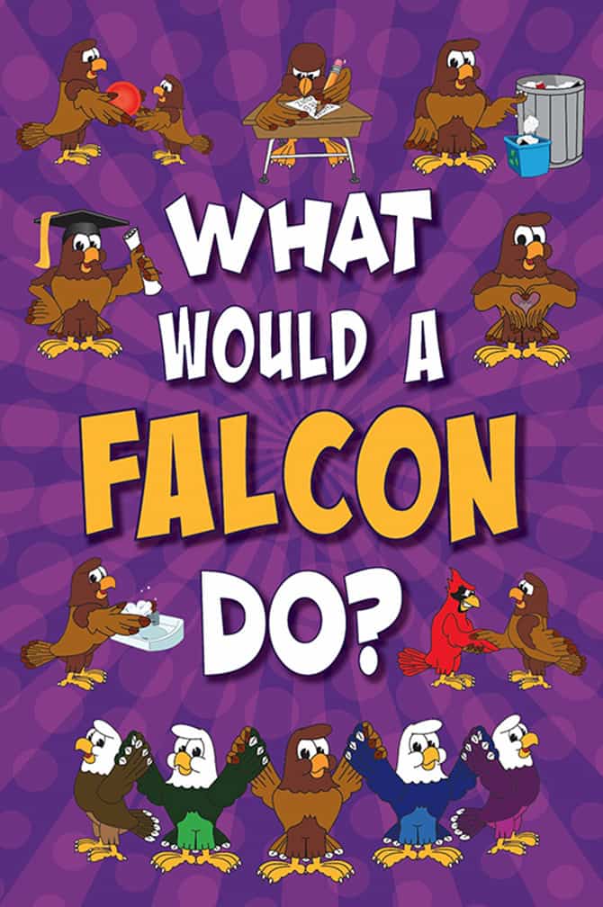 What Would Falcon 1