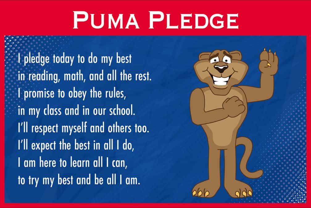 Pledge 2 Puma