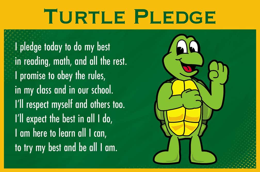 Pledge Poster Turtle