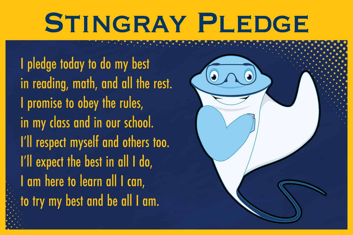Pledge-Style2-Stingray
