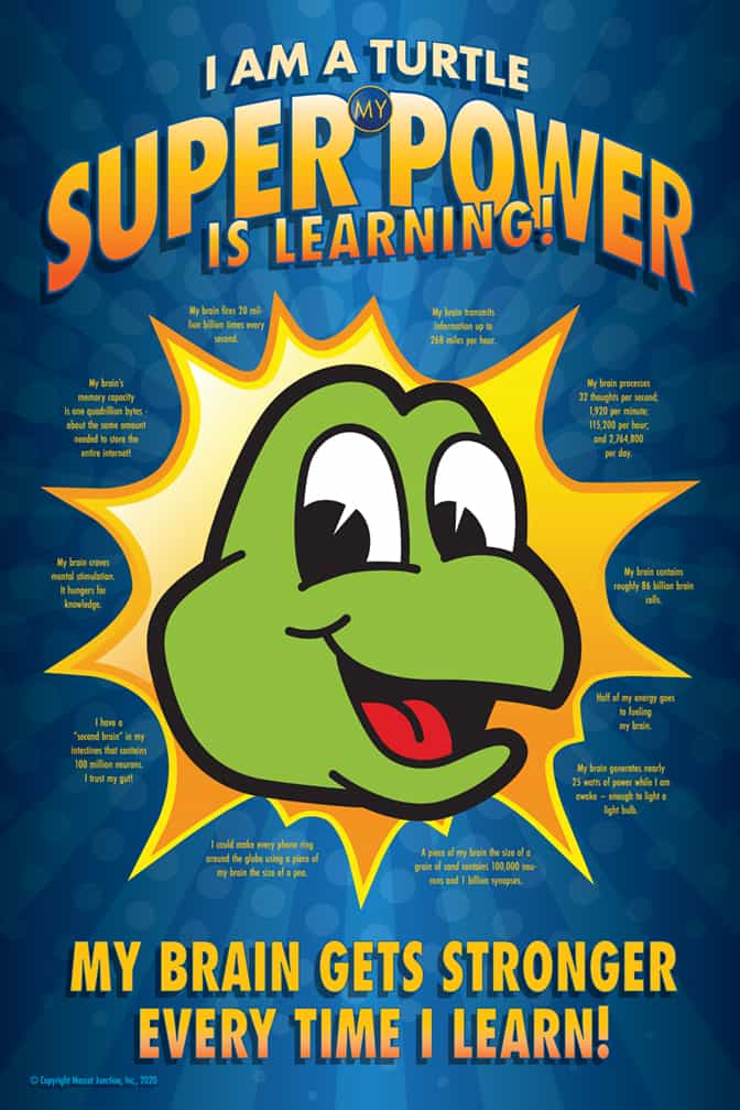 Super Power Poster Turtle