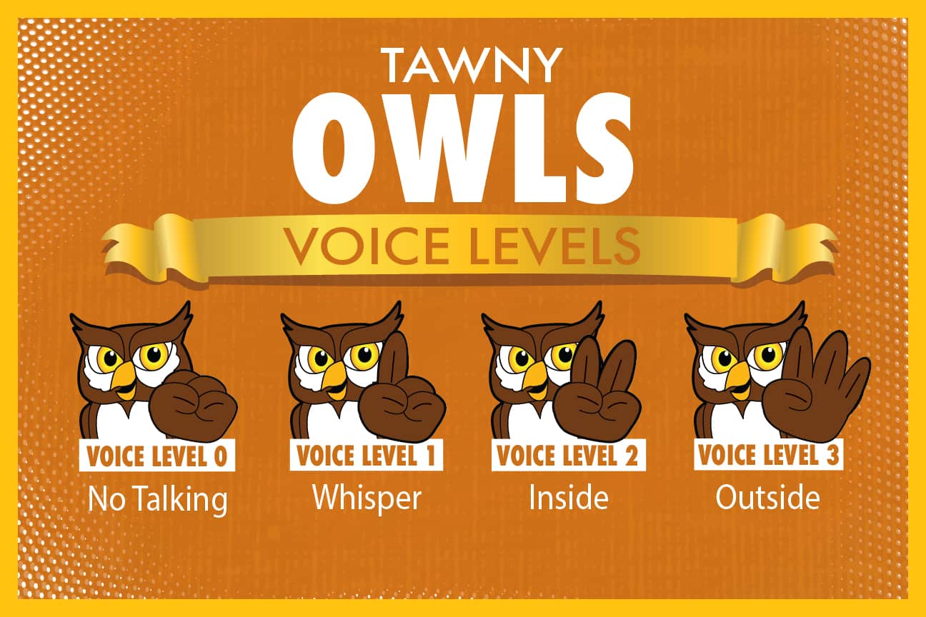 Voice-Level-Poster-owl