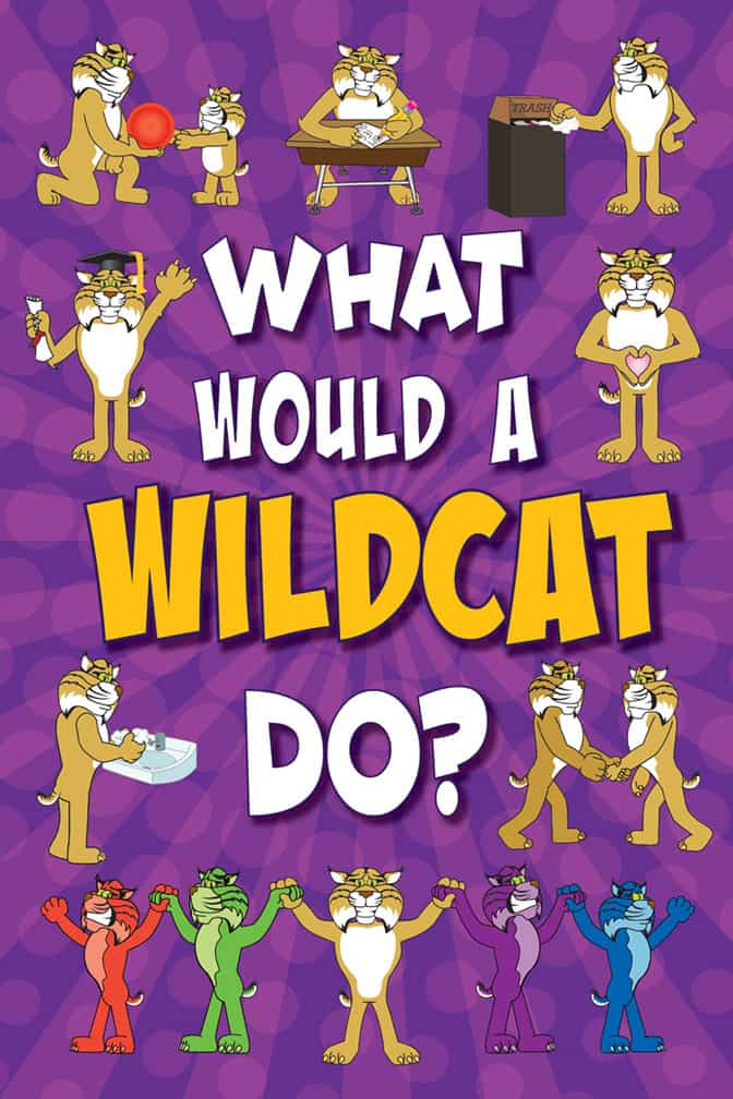 What Would Wildcat 1