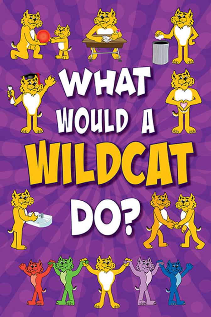 What Would Wildcat 2
