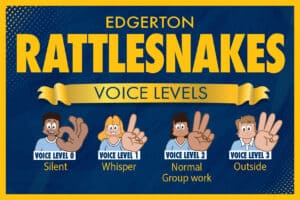 voice-levels-rattlesnake