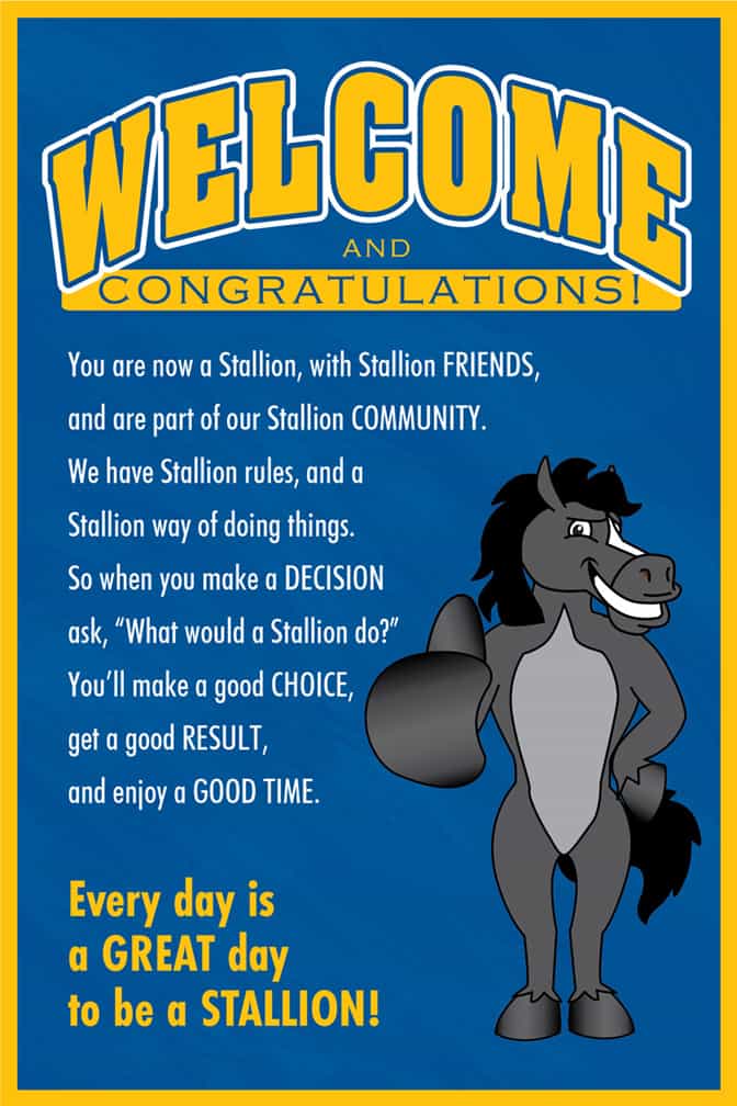 Welcome Poster Stallion