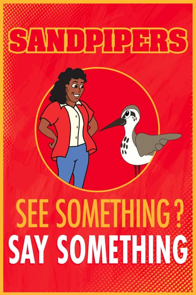 Sandpiper_SeeSomething