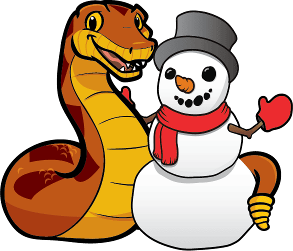 Rattlesnake A– NEW!